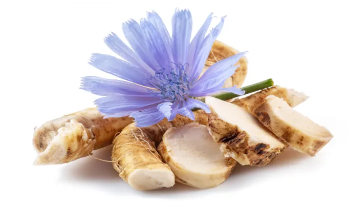 Chicory Root Inulin – EmmaRelife prebiotic fiber ingredient